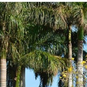 Meet your Posher, Keri